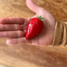 Caramelo que seca en 1 minuto